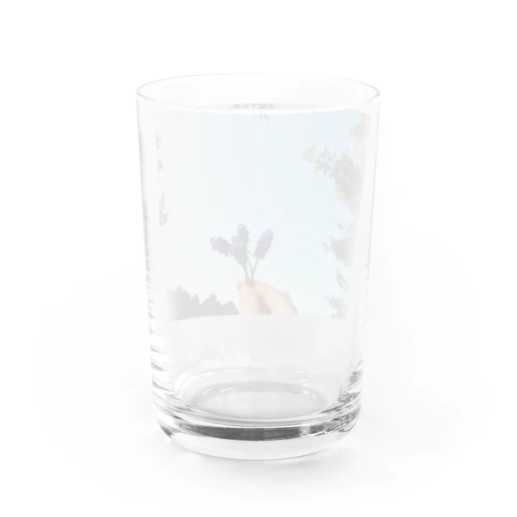 こじらせみきの庭の花 Water Glass :back