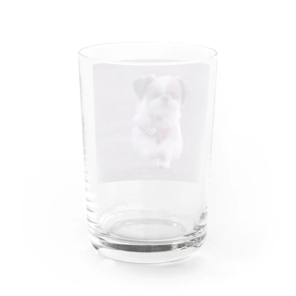 心メロンの心ちゃんグッズ Water Glass :back