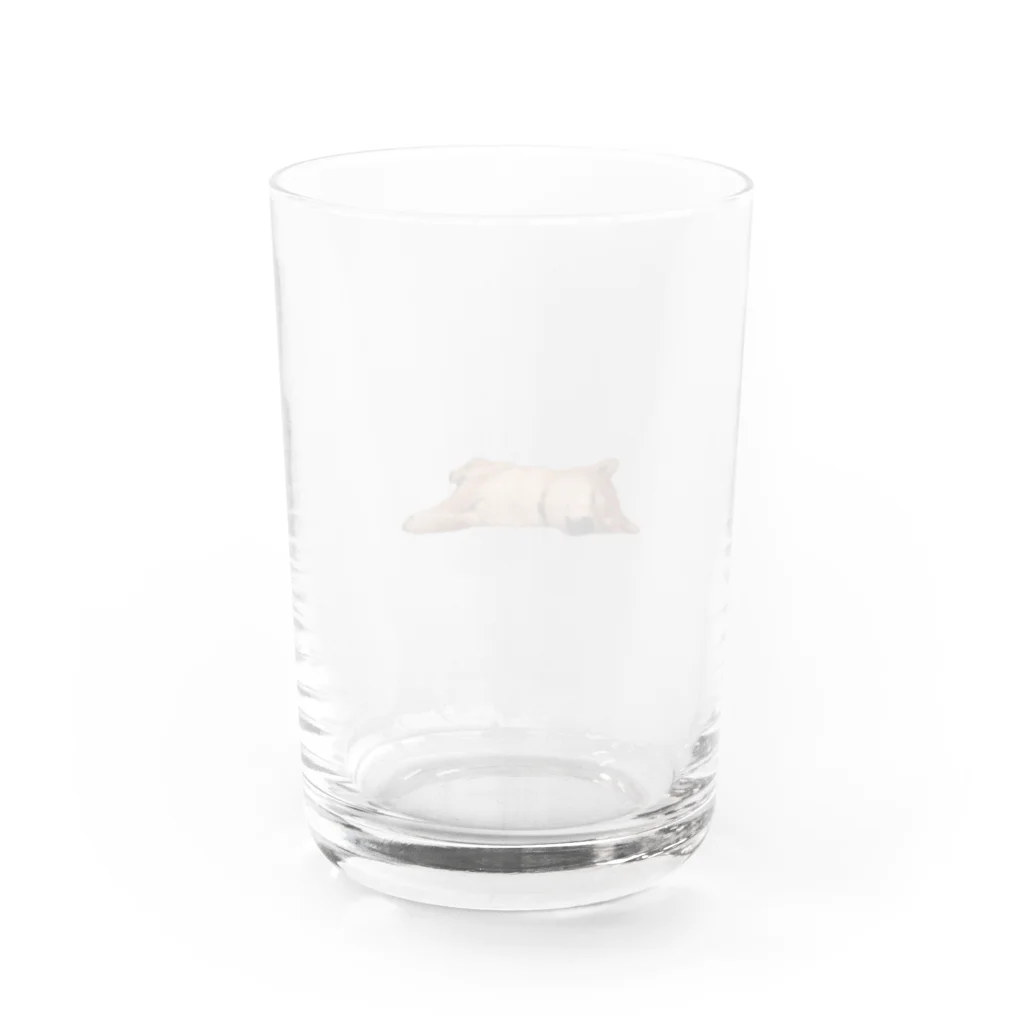 kiichacoの-犬- よこたわるみかん Water Glass :back