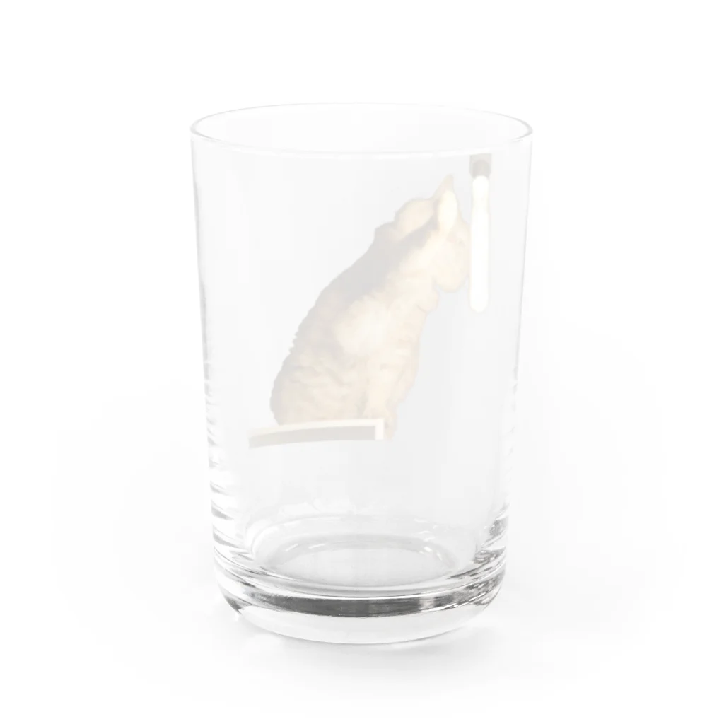 kiichacoの-猫- 左手を暖めるはっさく Water Glass :back