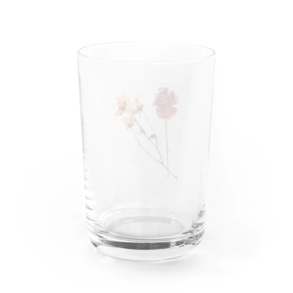 ネコッチ＿k(*´ω｀*)の薔薇 Water Glass :back