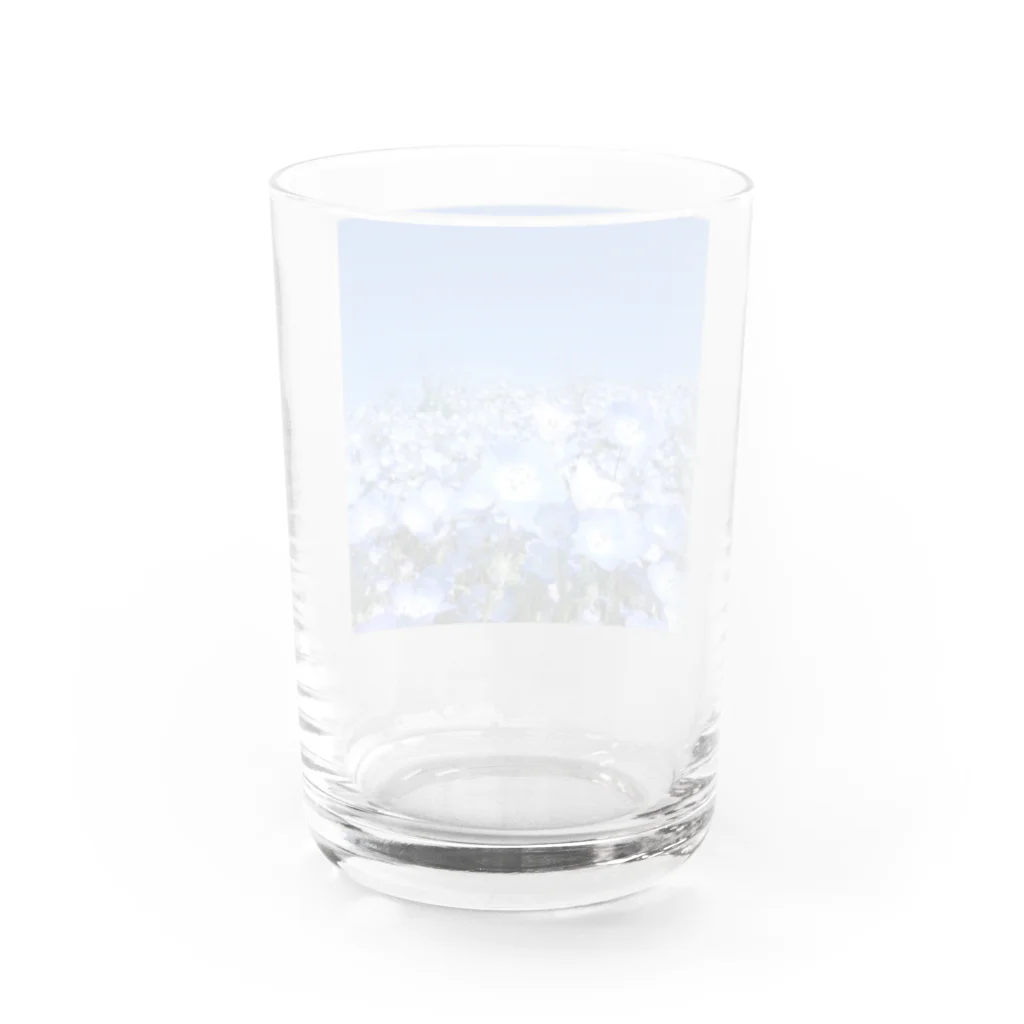 心メロンのネモフィラブルー💙 Water Glass :back
