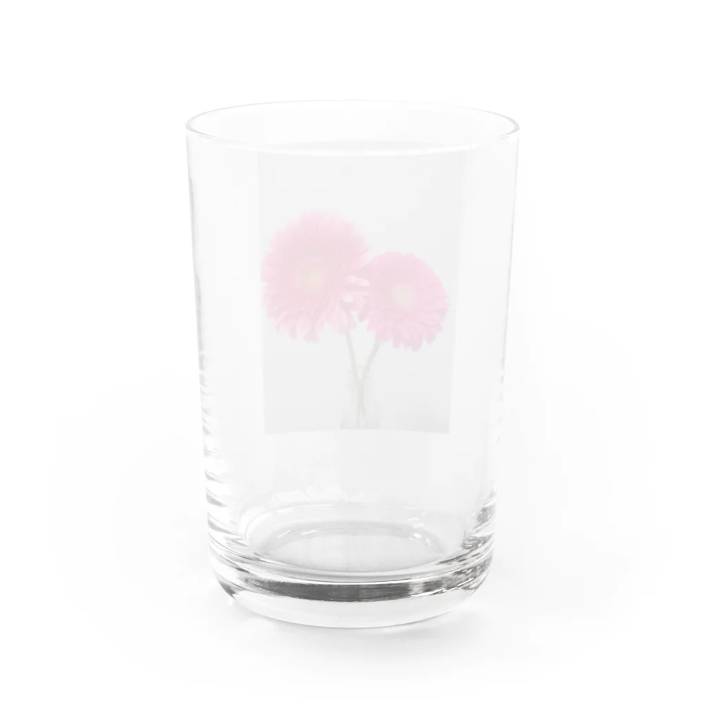 Allium caeruleum アリウム コエルレウムのガーベラ Water Glass :back