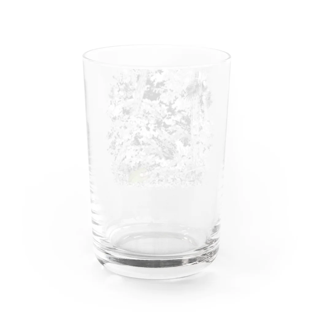 にことめこのフクロウオウム　カカポ iro Water Glass :back