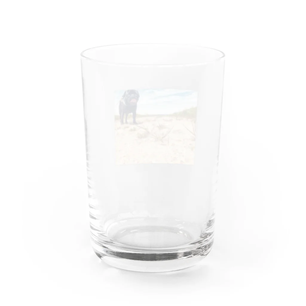 咲月の巨大パグ Water Glass :back