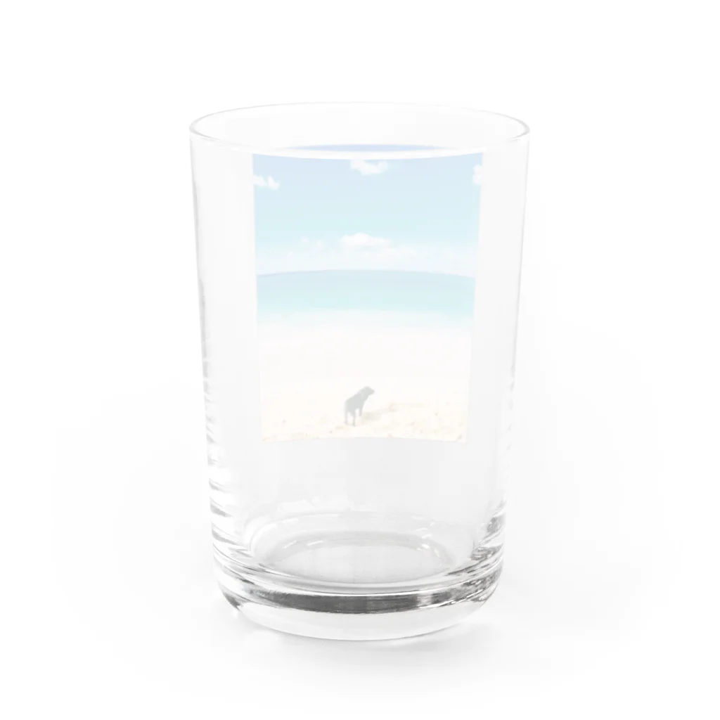 sa__photoのハワイの思い出 Water Glass :back