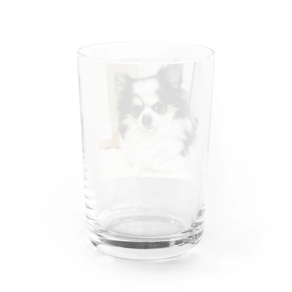 チワワのクレバーさんのチワワのクレバーさん Water Glass :back