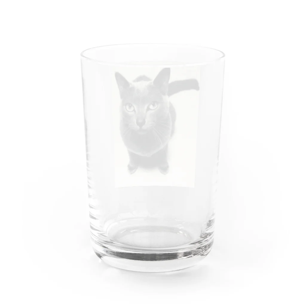 V ROCK live bar MOONCHILD(kazpen)のエレンくん Water Glass :back