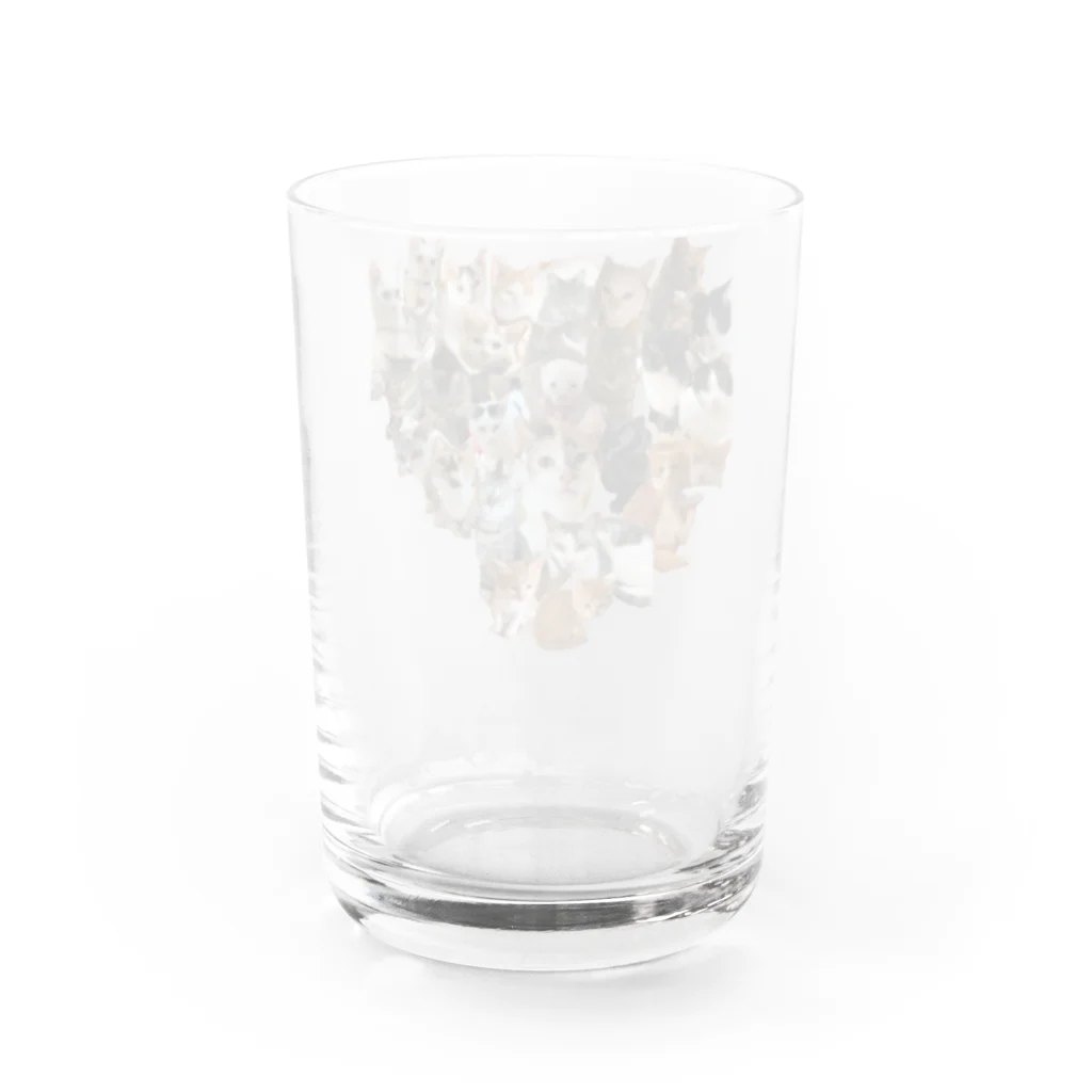 Norinyaの27にゃん！ オールニャンず！ Water Glass :back