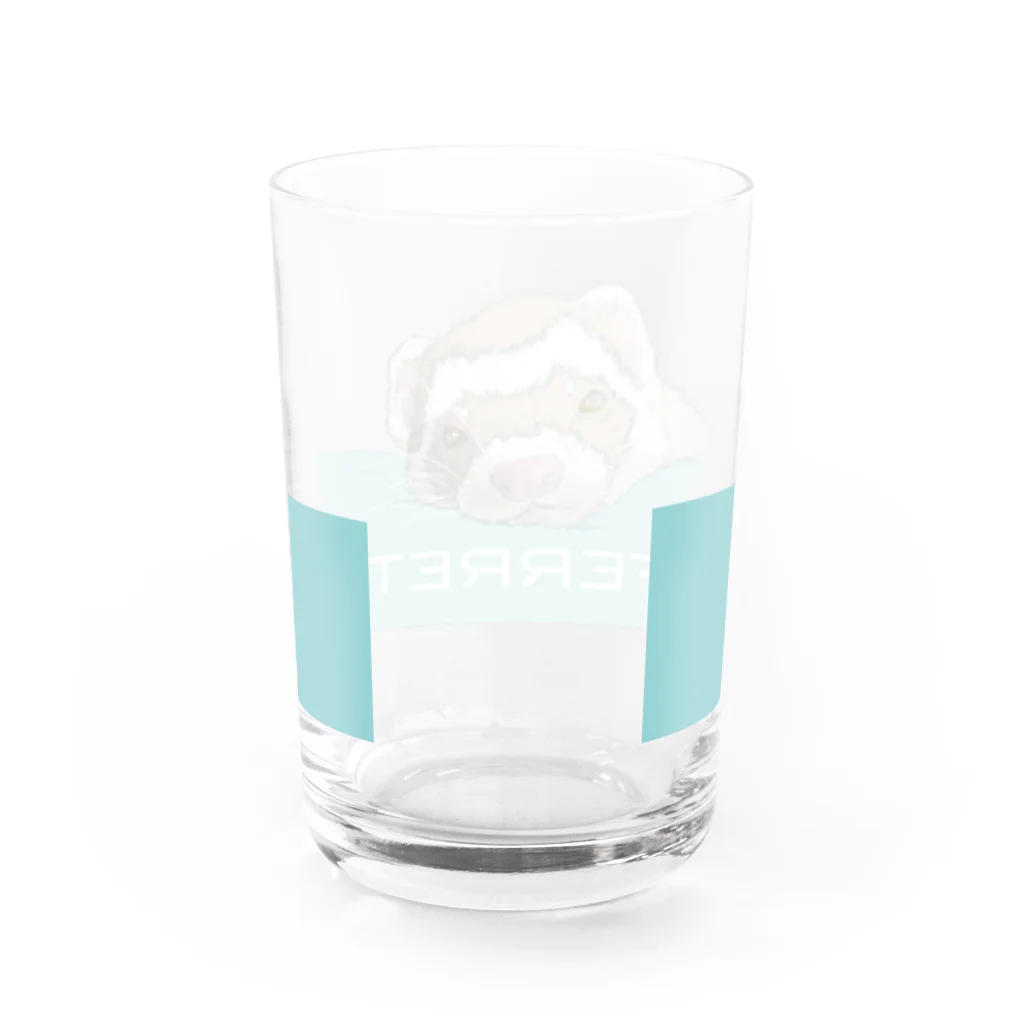 sasabayashi8のうとうとフェレット Water Glass :back