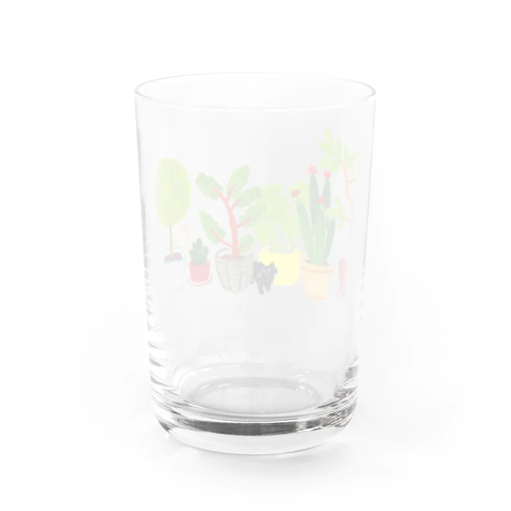 本田亮のshokubutsu Water Glass :back