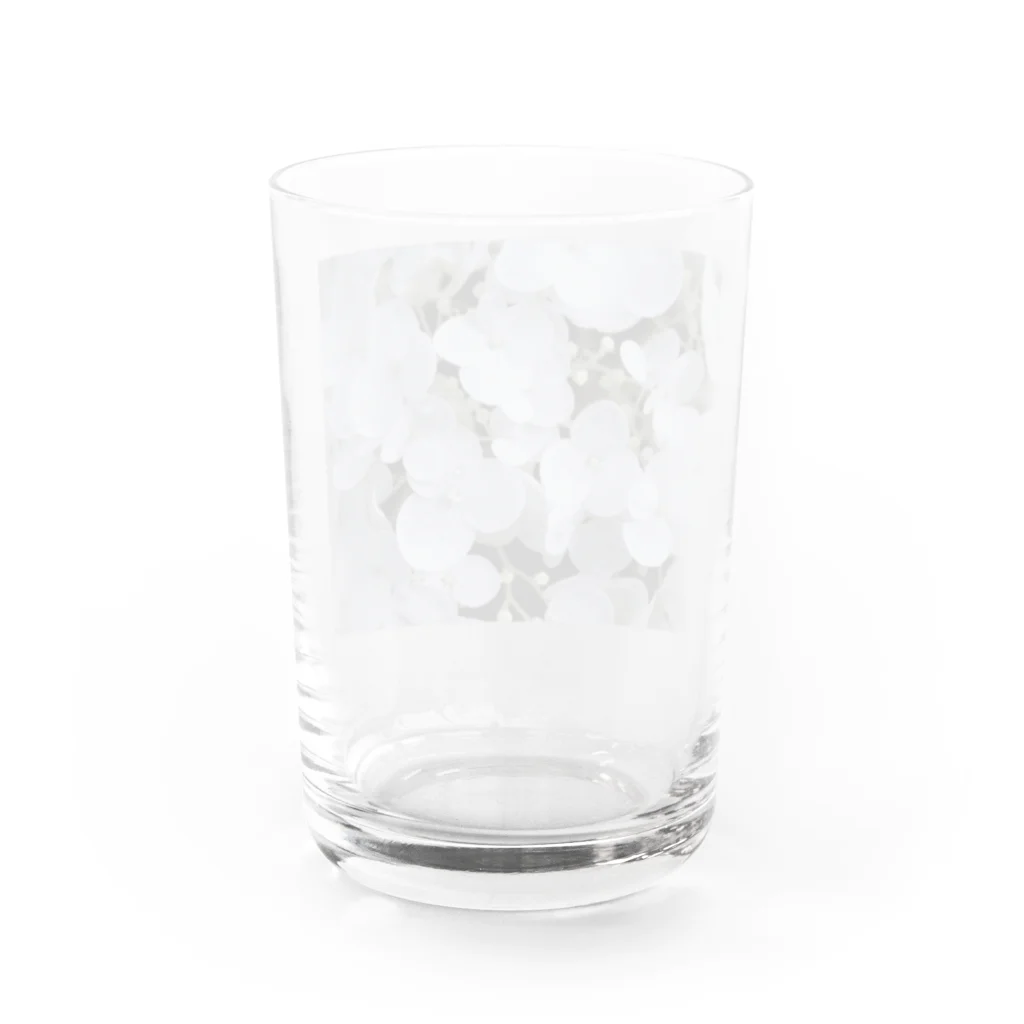 marihoのannabelle Water Glass :back