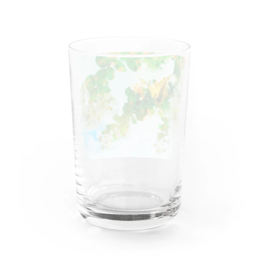 ＊KaO＊イロトリドリのあの空 Water Glass :back