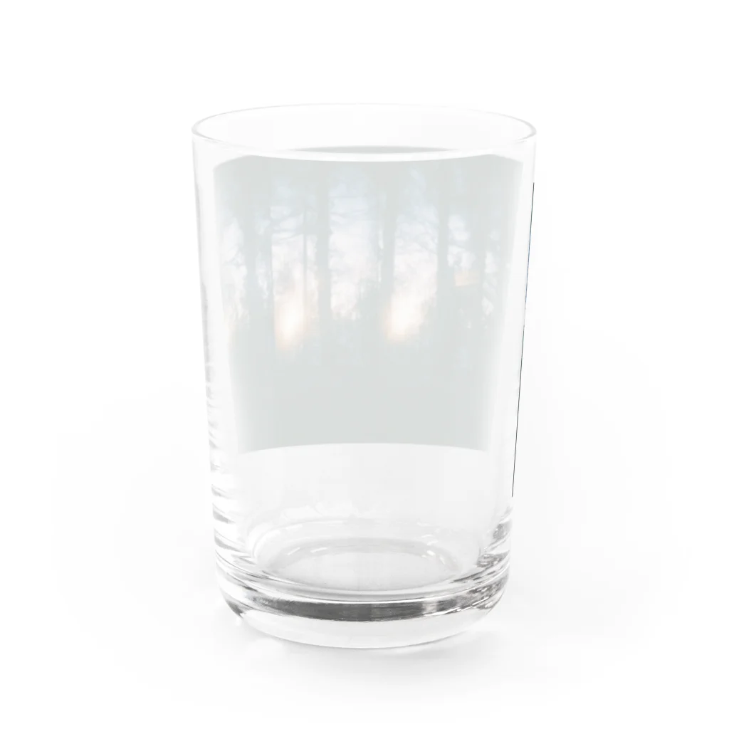 喫茶室ラブラド・レッセンスの🌲🌃 Water Glass :back