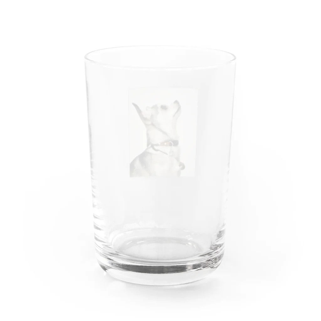 Kaori SasakiのMonSun Water Glass :back