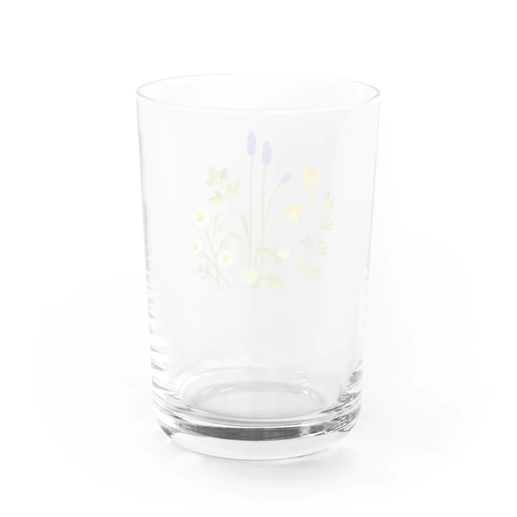 ypocketのハーブの図鑑 Water Glass :back