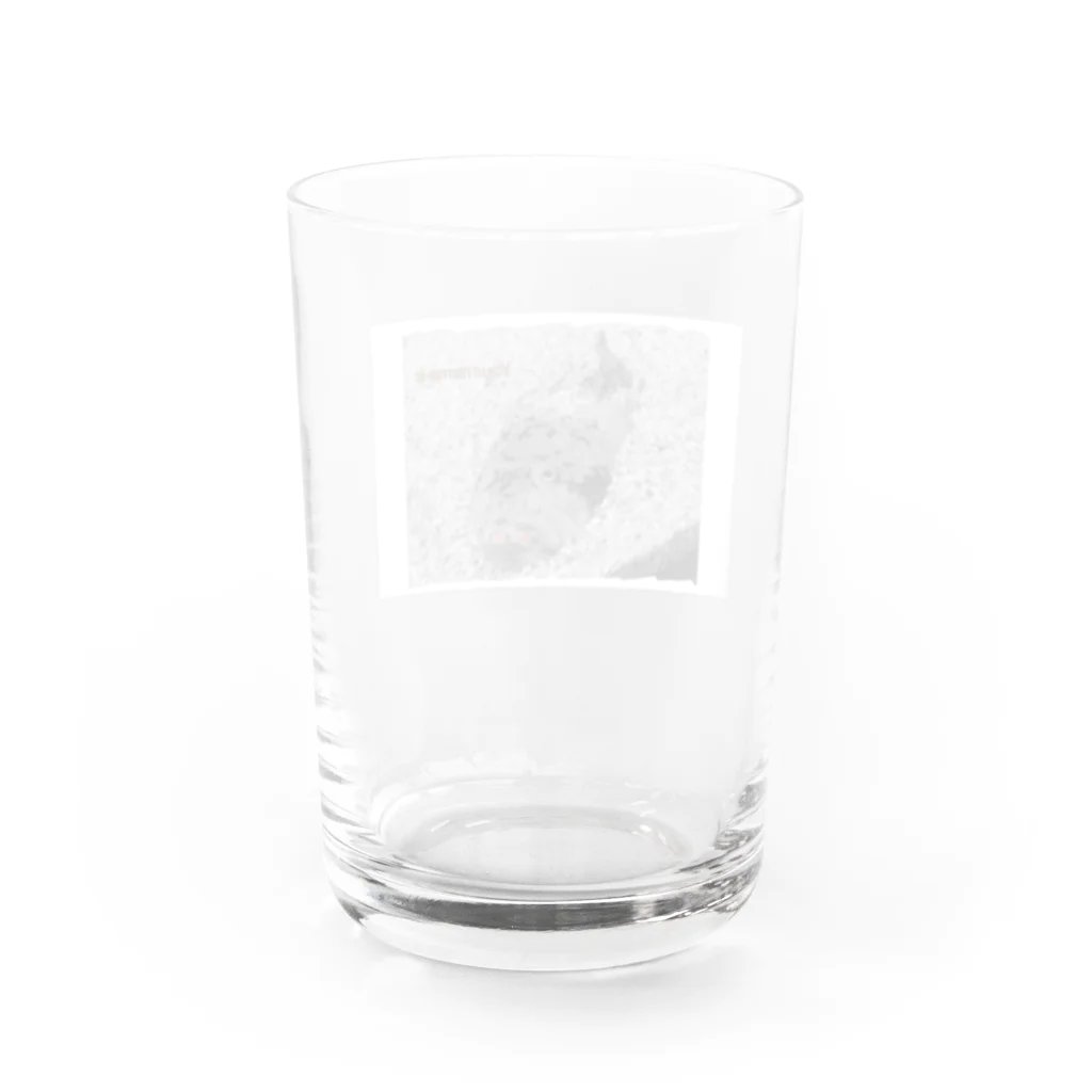 なでしこ@デザインの君の名は～Your name is～ Water Glass :back