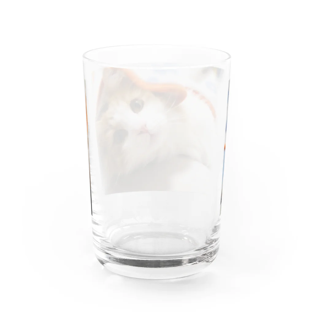 レオ様の上目遣いレオ様 Water Glass :back