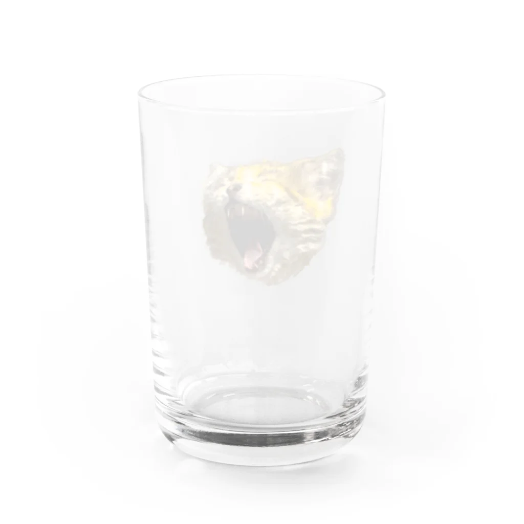 百瀬の眠たいスナネコ Water Glass :back