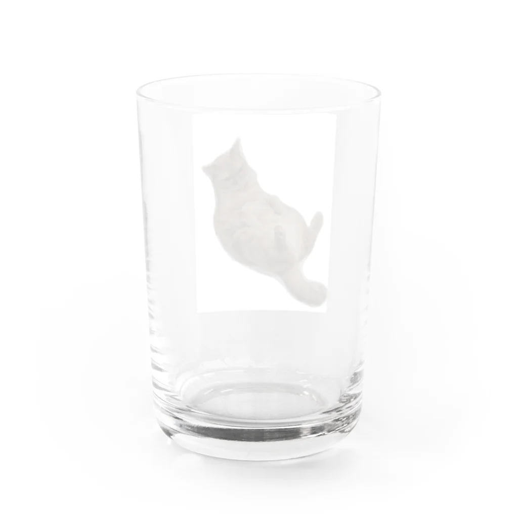 白湯の人の家のネコ Water Glass :back