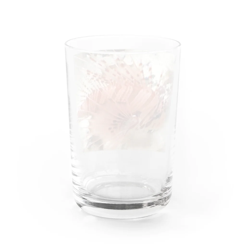 梅昆布茶のカサゴちゃん Water Glass :back