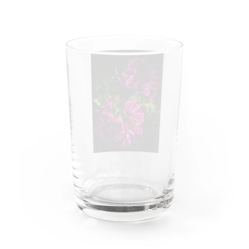 店ショップのブラックアンドピンク Water Glass :back