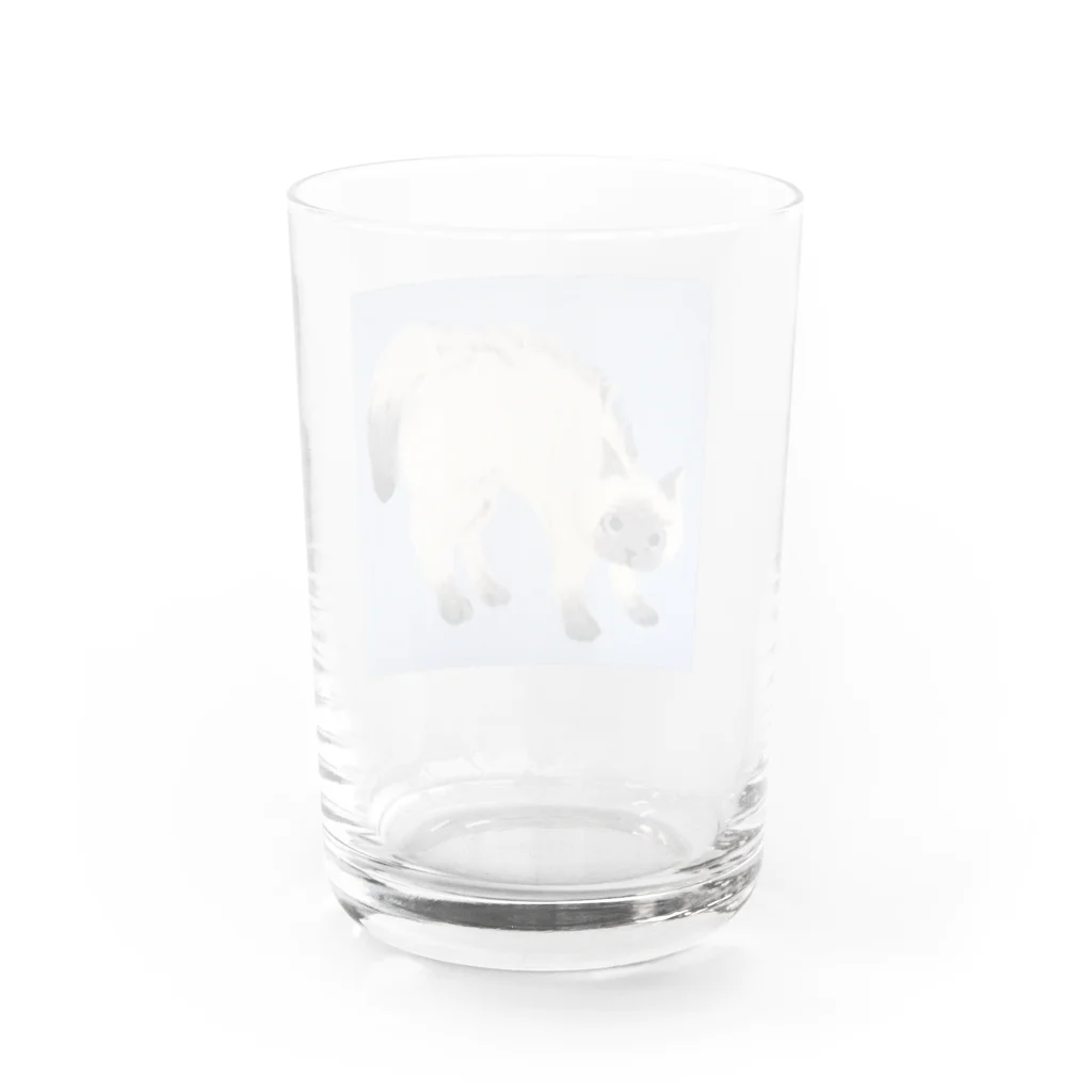 suzuejyaのシャムんシャー Water Glass :back