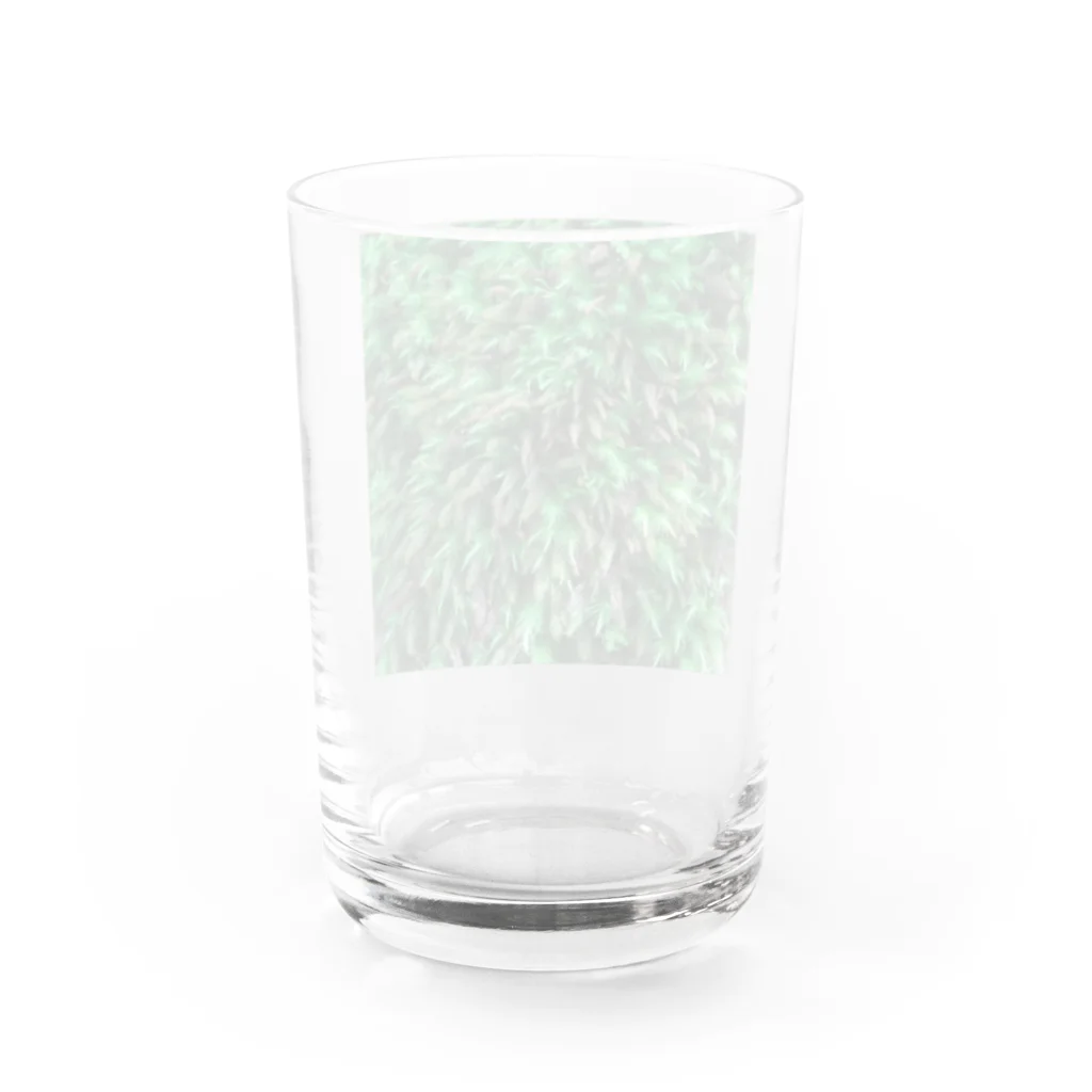 店ショップのモスモス Water Glass :back