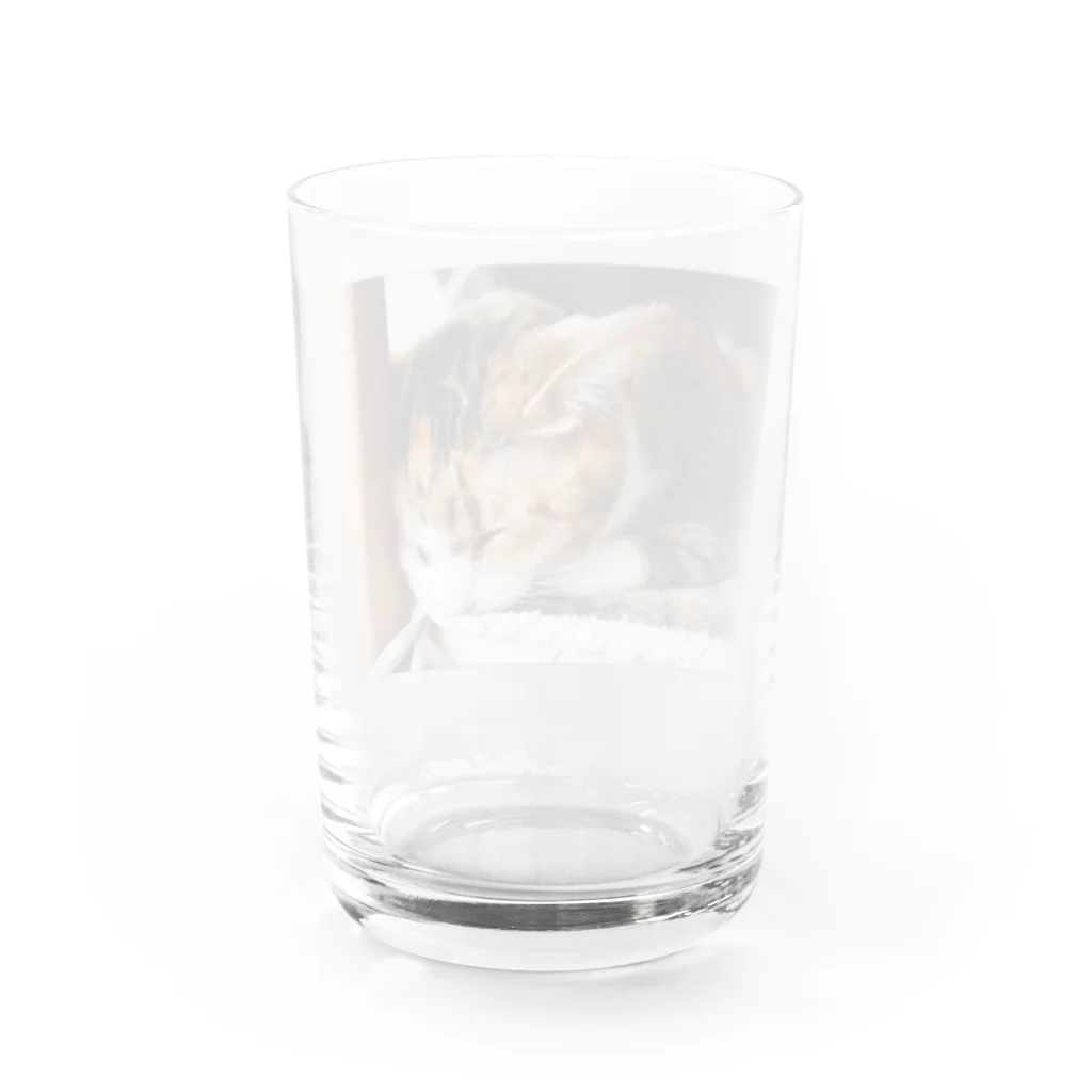 marihoのnem. Water Glass :back