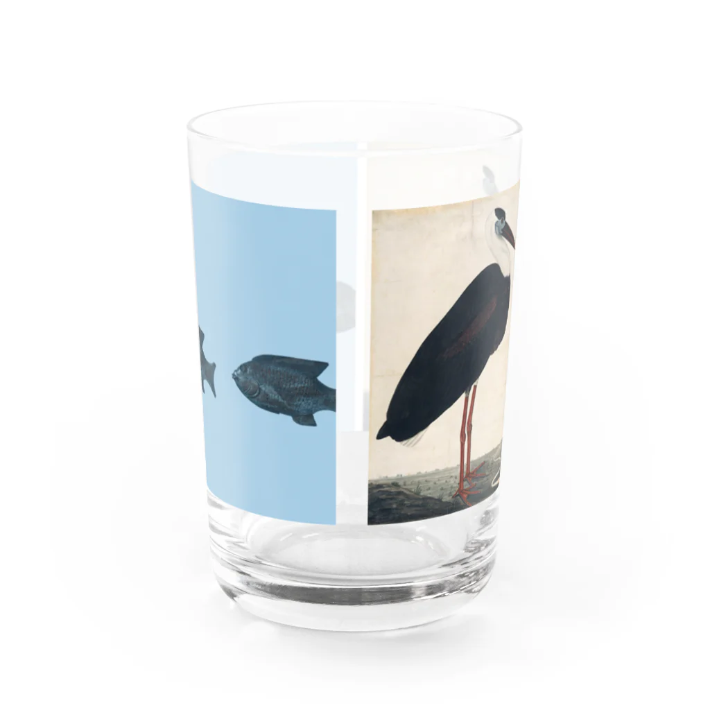 奈都の魚と鳥 グラス反対面