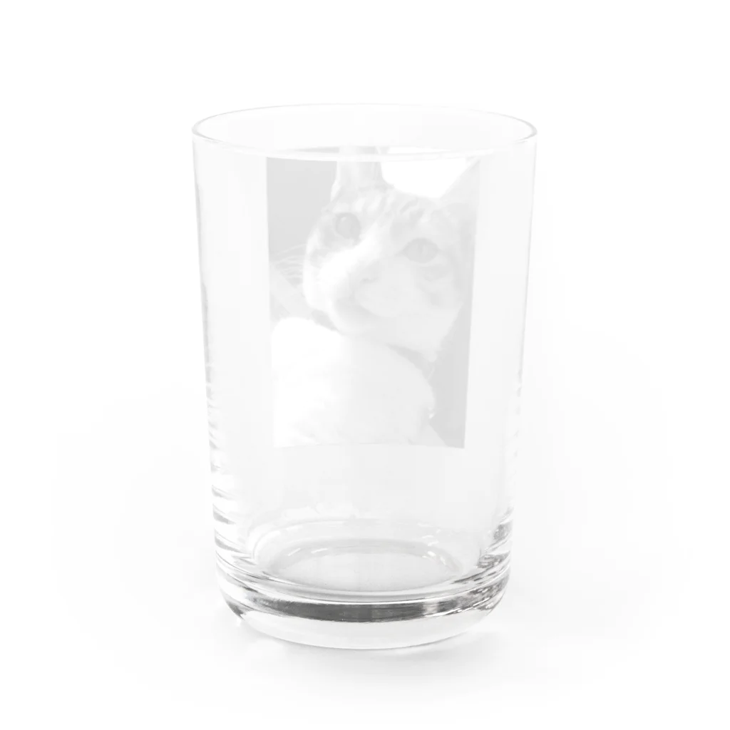 ほぼひめ。の三毛猫のひめ　4 Water Glass :back