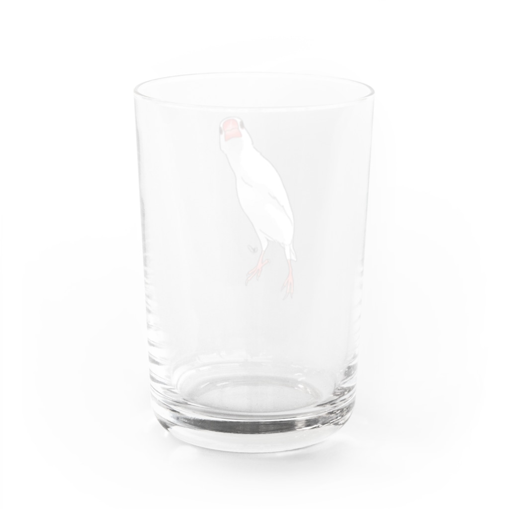 calcalののびのび白文鳥 Water Glass :back