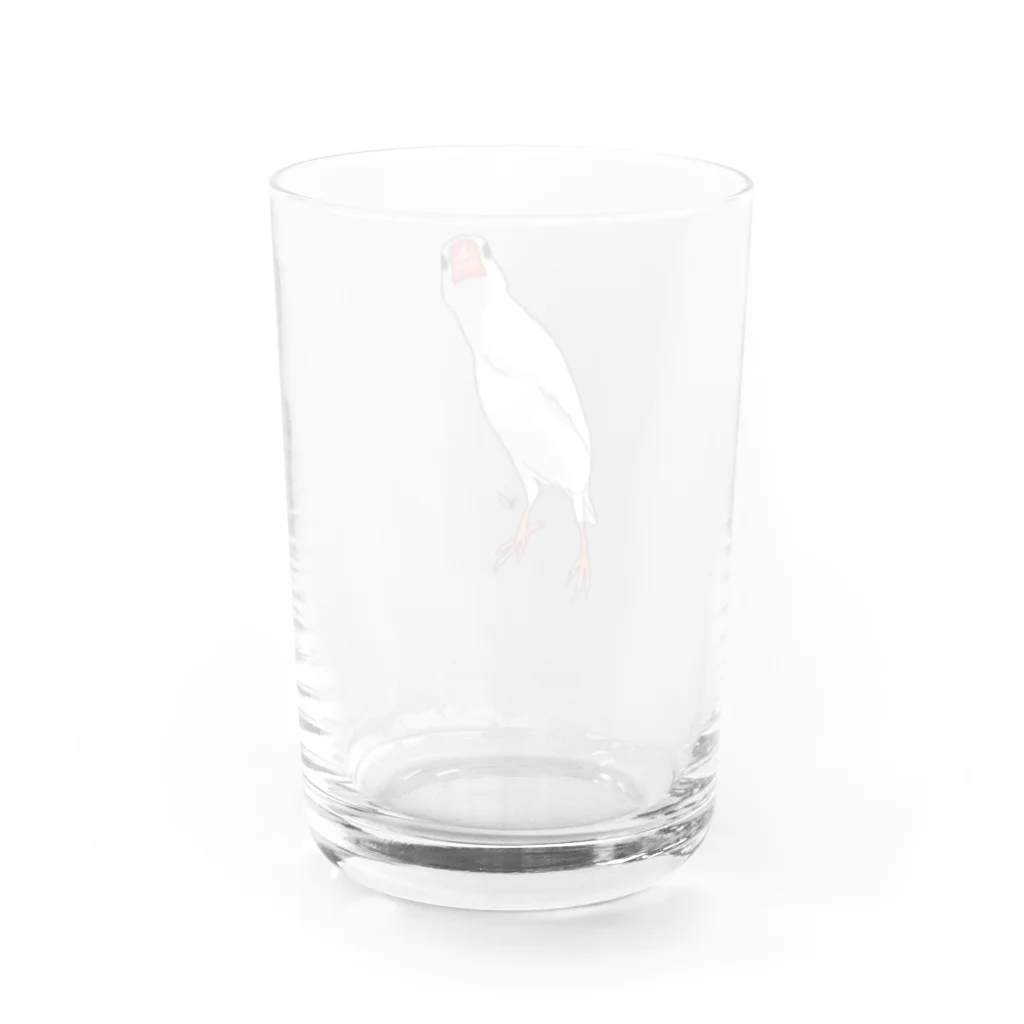 calcalののびのび白文鳥 Water Glass :back