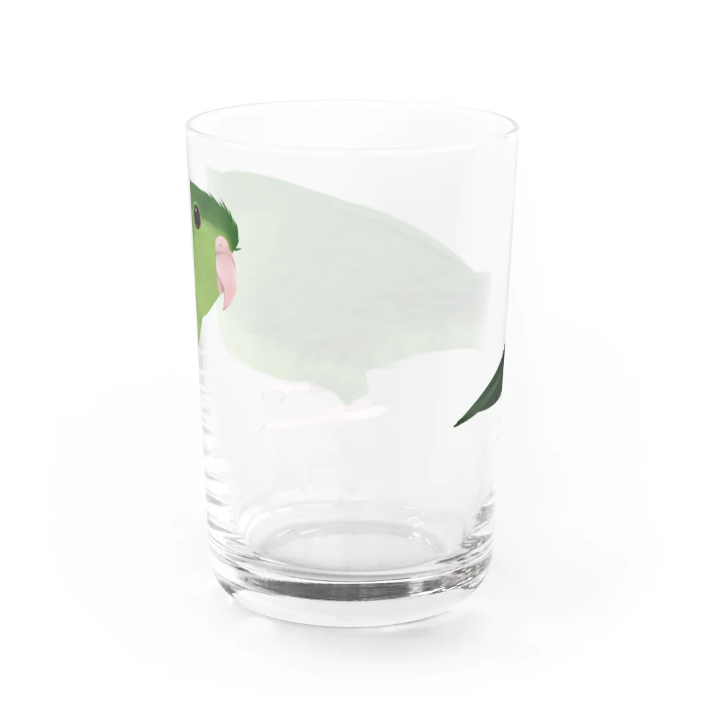 まめるりはことりのサザナミインコ　グリーン【まめるりはことり】 Water Glass :back