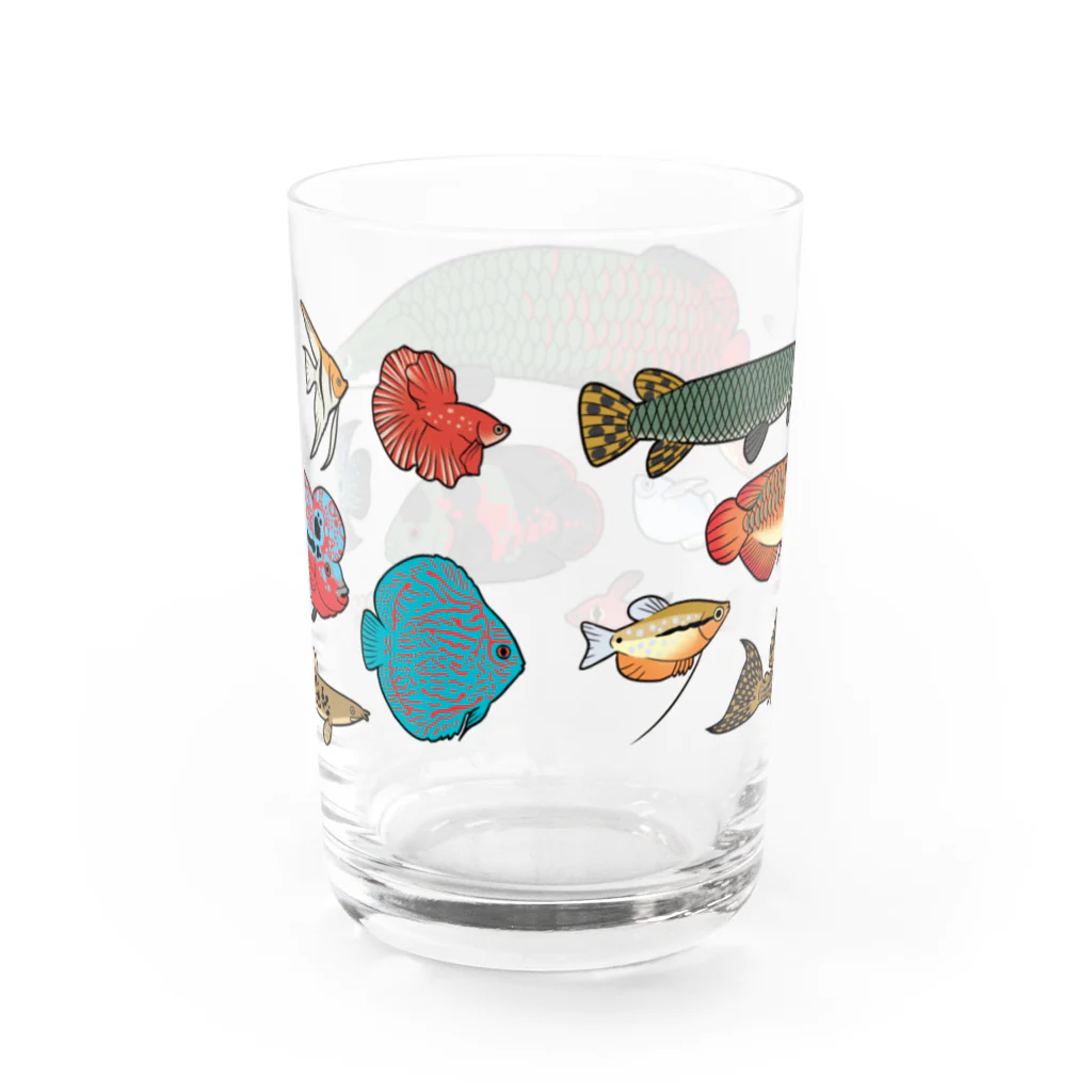 kasugaDNの淡水！熱帯魚グラス/color グラス反対面