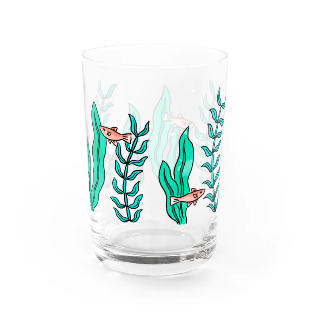 おさつの🐟 Water Glass :back