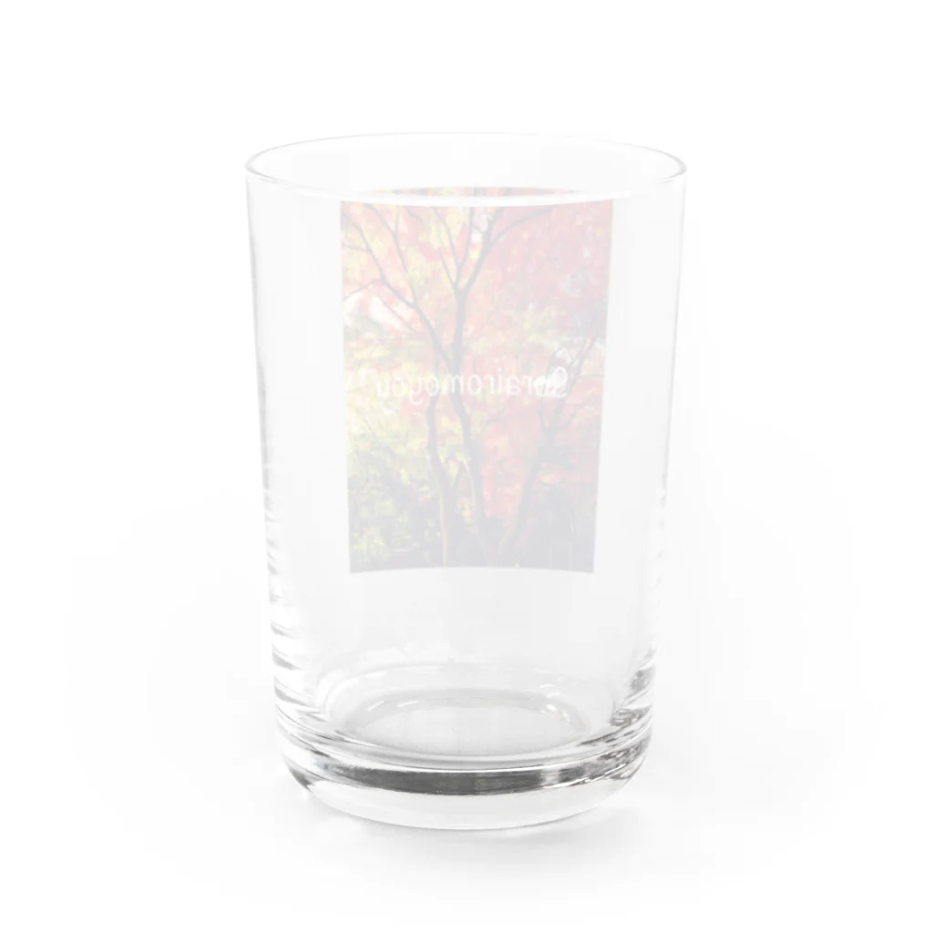 そらいろもようのアカトミドリ Water Glass :back