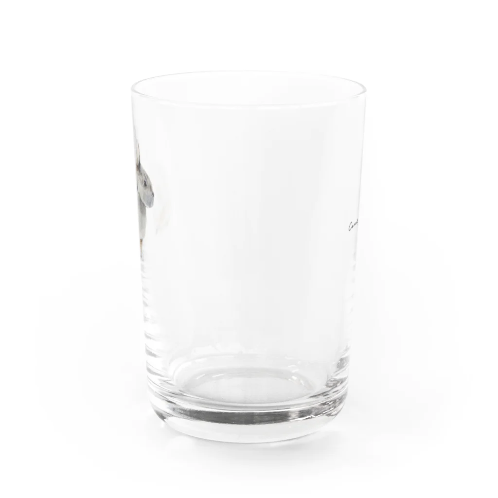 Canako Inoueのうさぎ Water Glass :back