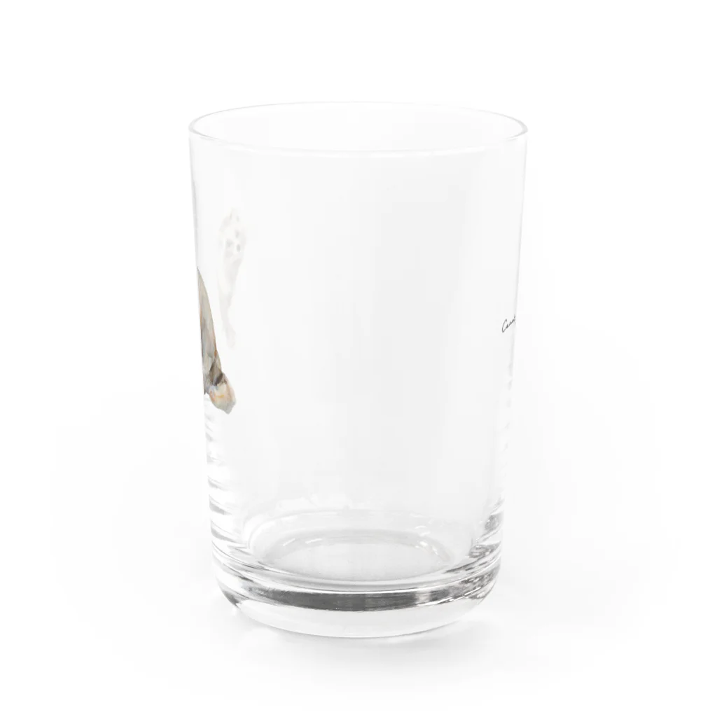 Canako Inoueのホンドタヌキ Water Glass :back