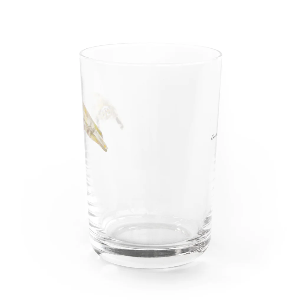 Canako Inoueののびている猫 Water Glass :back