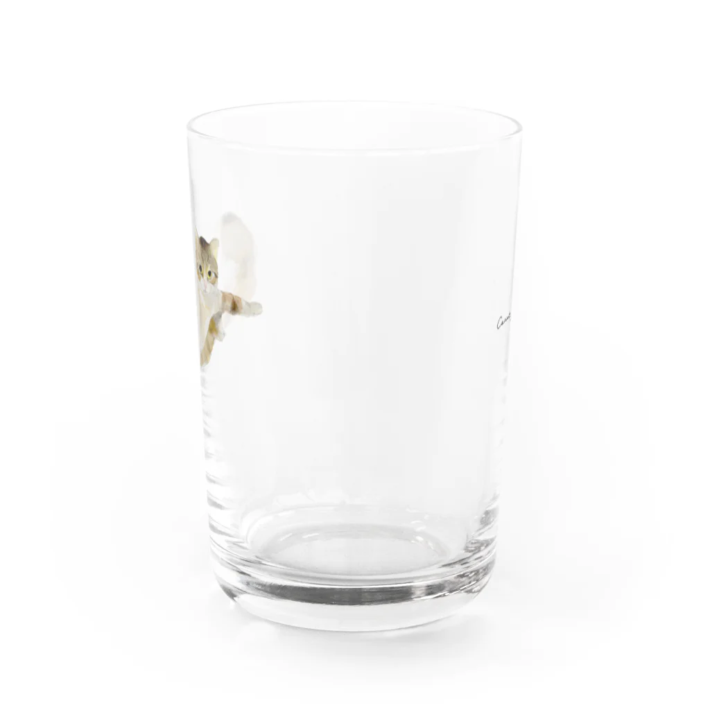 Canako Inoueの爪がひっかかっている猫 Water Glass :back