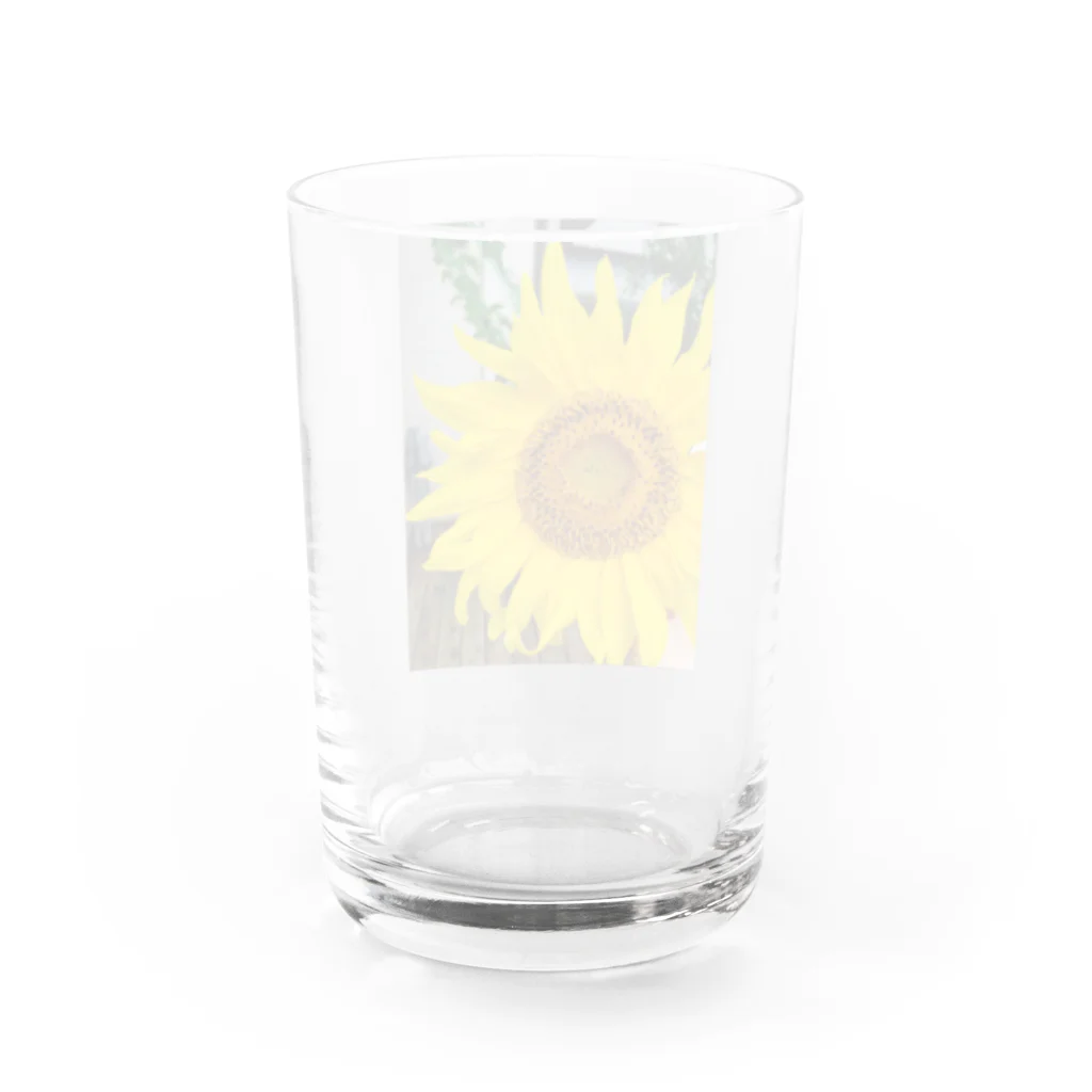 279_ktmのひまわり🌻 Water Glass :back