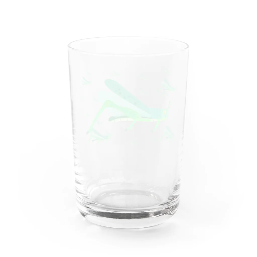 illust_designs_labのサバクトビバッタ 孤独相 群体・蝗害  Water Glass :back