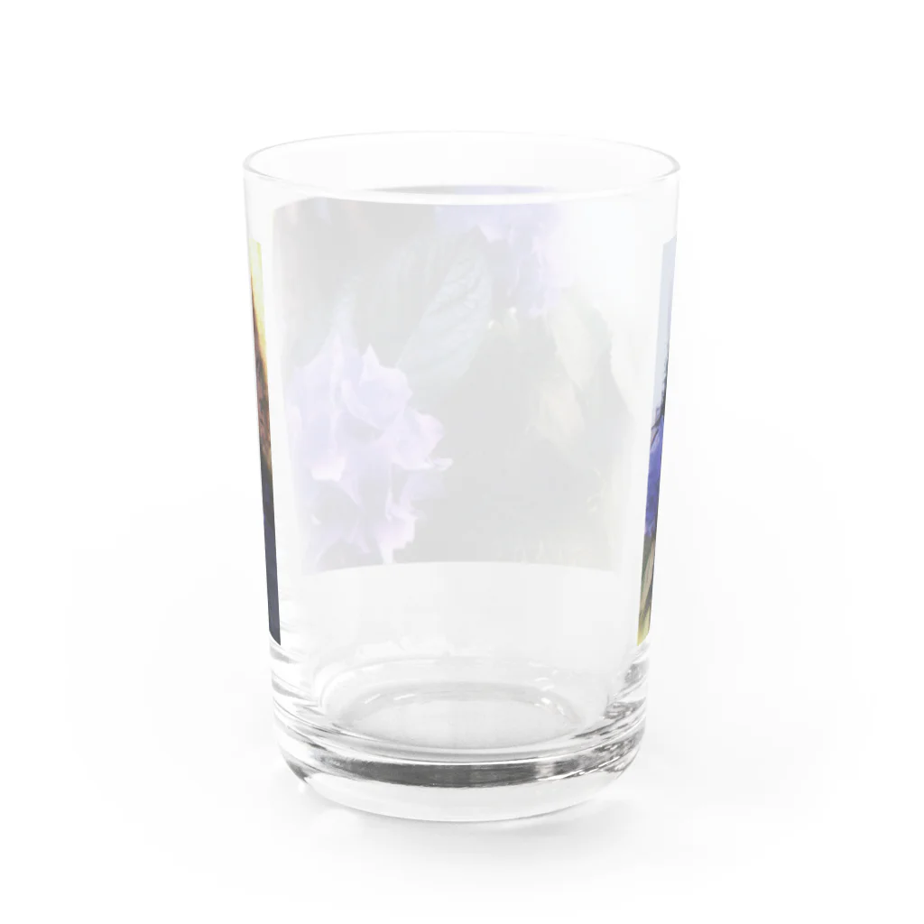 Takaの紫陽花 on the road Water Glass :back