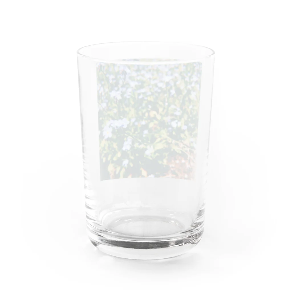 夜夜未明のむらさきむらさき Water Glass :back