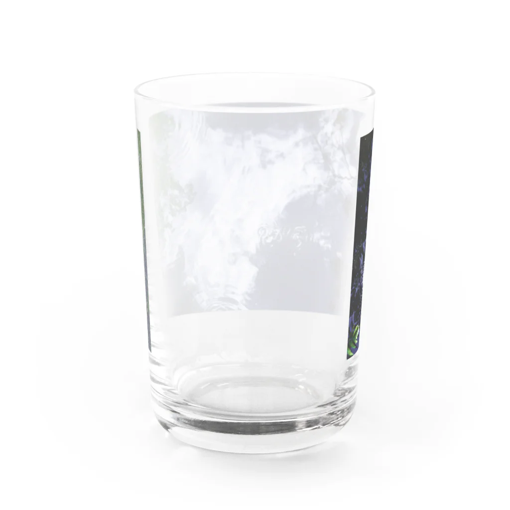 くじらのminamo Water Glass :back