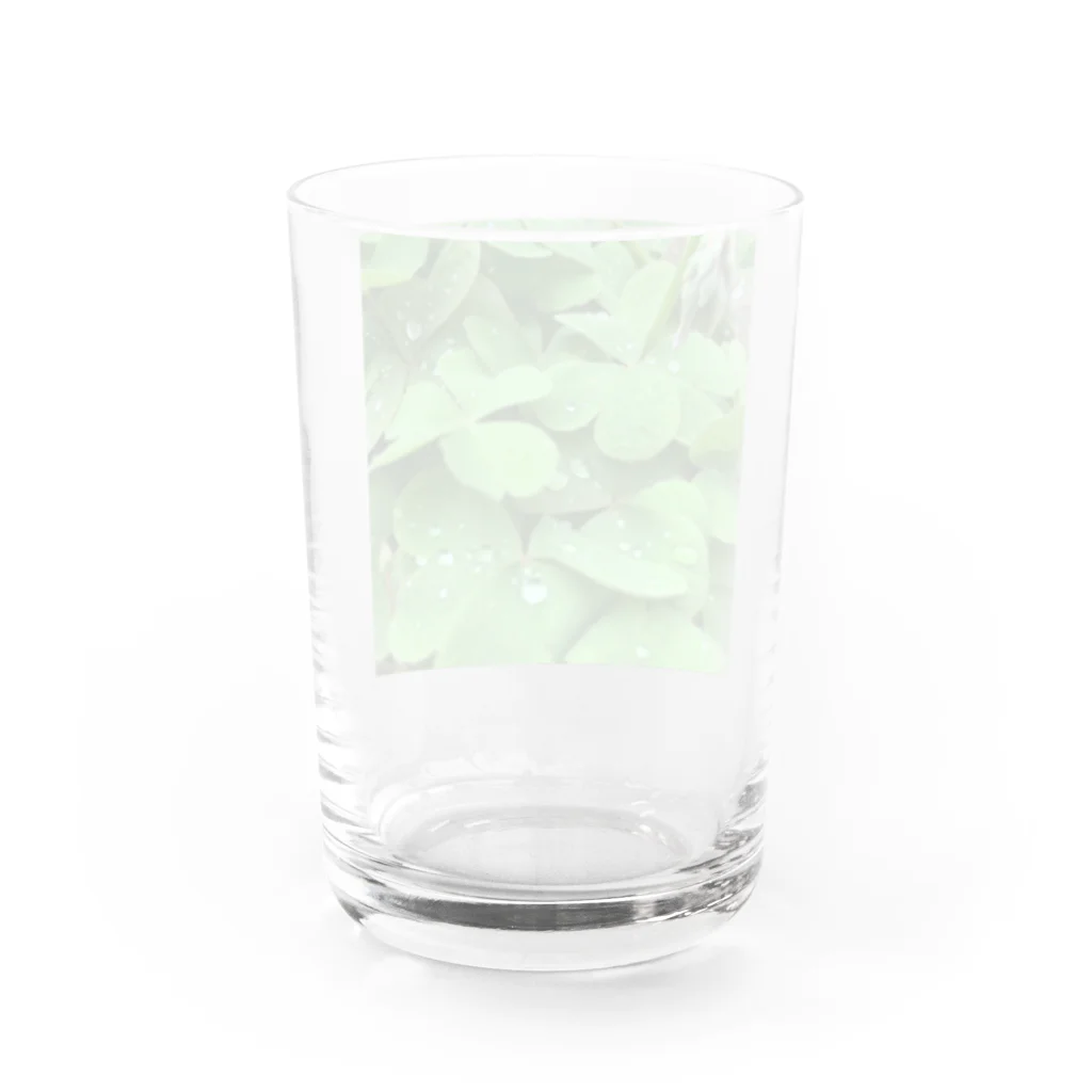 Mo.の🌿 Water Glass :back