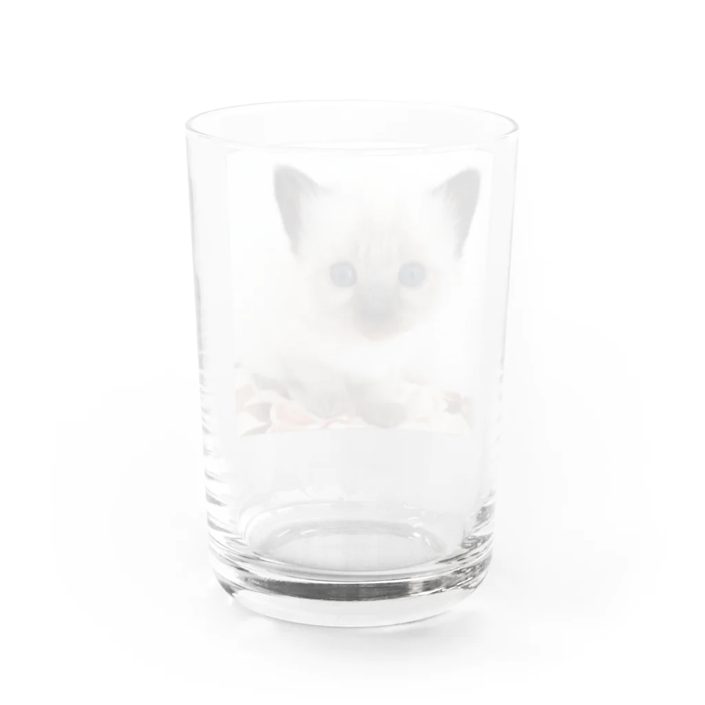 SUNNYHOUSE02の幸の眼差し Water Glass :back