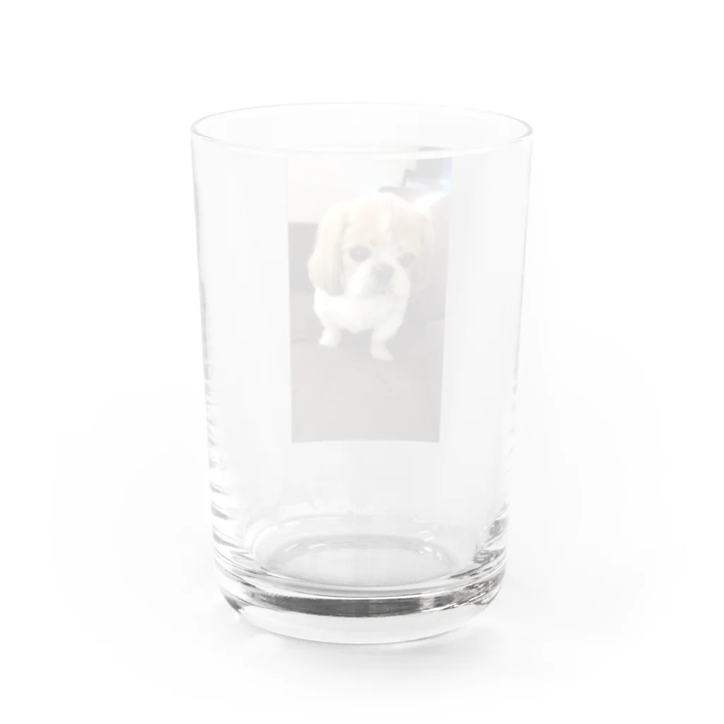 nana05のわんちゃん Water Glass :back