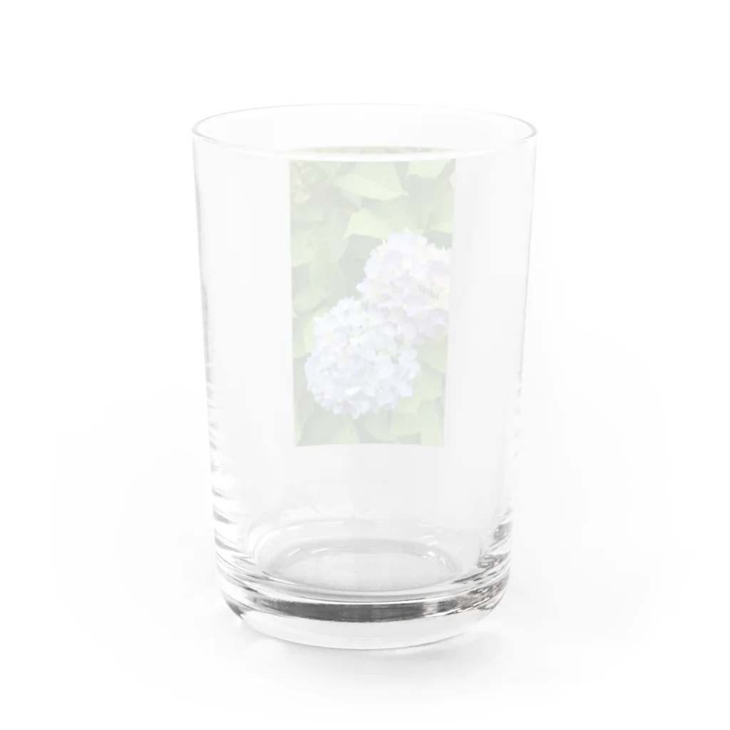 nana05の紫陽花 Water Glass :back